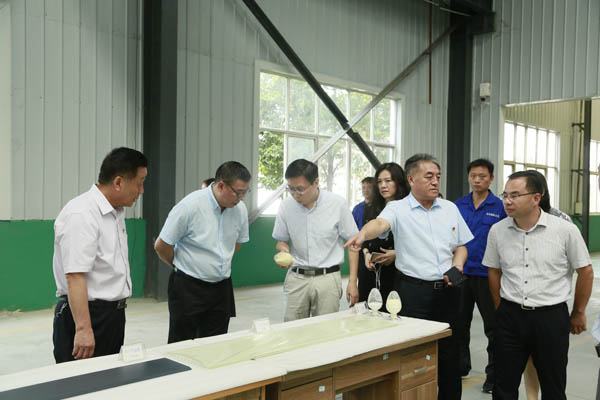 河南證監(jiān)局王廣幼局長一行蒞臨隆華集團調研資本市場工作
